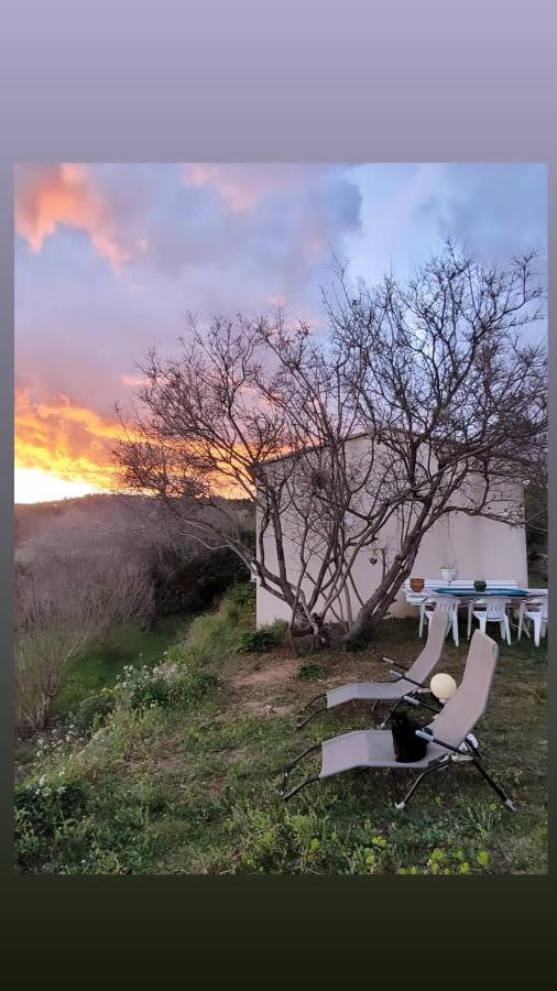 Maison Dans La Provence Verte Cotignac Esterno foto